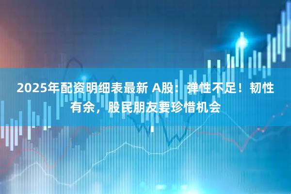 2025年配资明细表最新 A股：弹性不足！韧性有余，股民朋友要珍惜机会