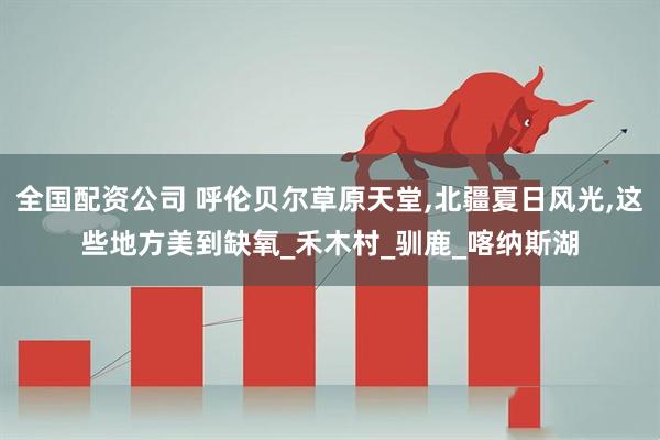 全国配资公司 呼伦贝尔草原天堂,北疆夏日风光,这些地方美到缺氧_禾木村_驯鹿_喀纳斯湖